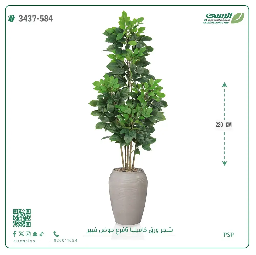  شجرة ورق كاميليا صناعية 6 فروع (ارتفاع 220 سم) حوض فيبر 