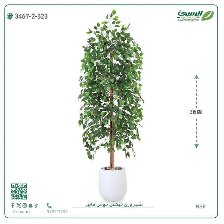  شجر ورق فيكس صناعية (ارتفاع 215 سم) حوض فيبر 