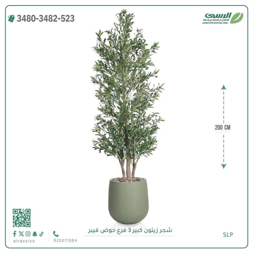  شجرة زيتون صناعية ارتفاع 200 سم حوض فيبر 