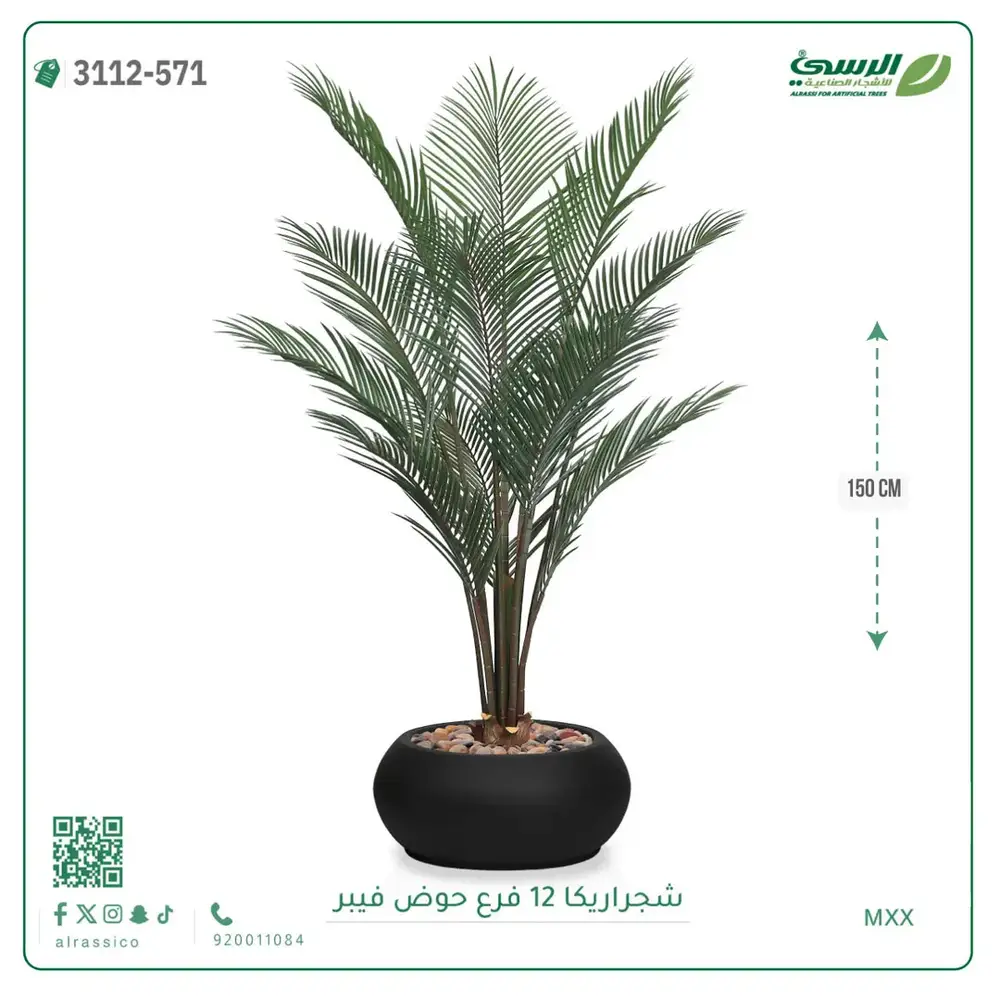  شجرة أريكا صناعية 12 فرع (ارتفاع 150 سم) حوض فيبر 
