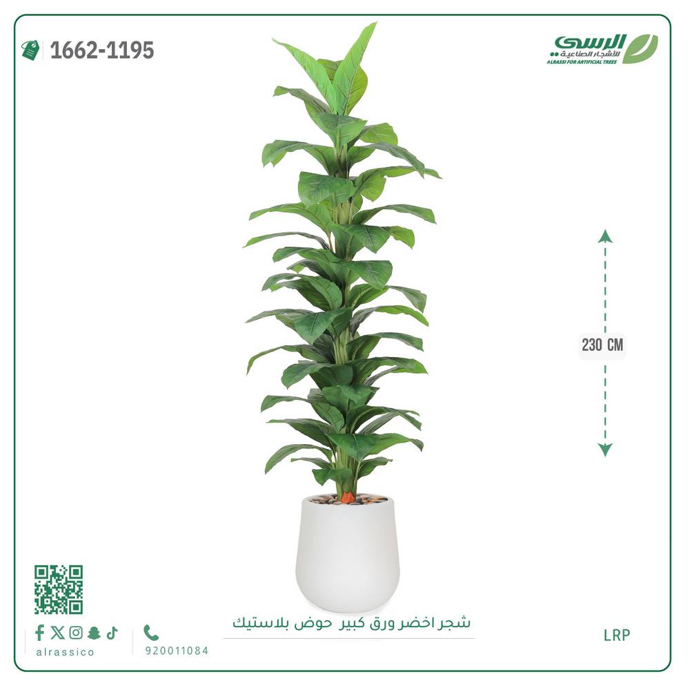  شجر مونستيرا صناعي ( ارتفاع 230 سم ) حوض بلاستيك 