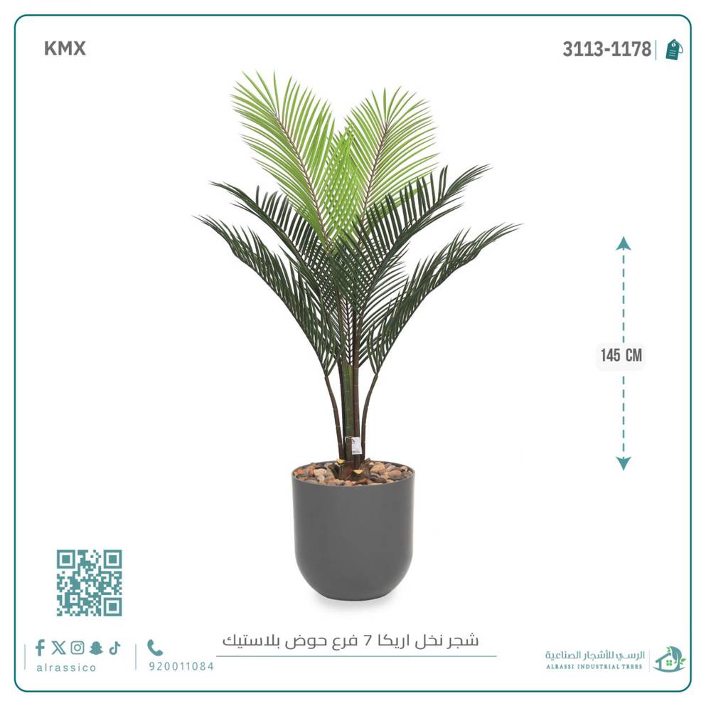  شجر أريكا (7 فروع) بمركن بلاستيك أسطواني 