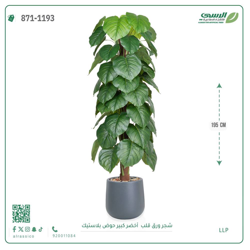  شجرة ورق قلب(ألوكاسيا) اصطناعية ( ارتفاع 195 سم ) حوض بلاستيك 