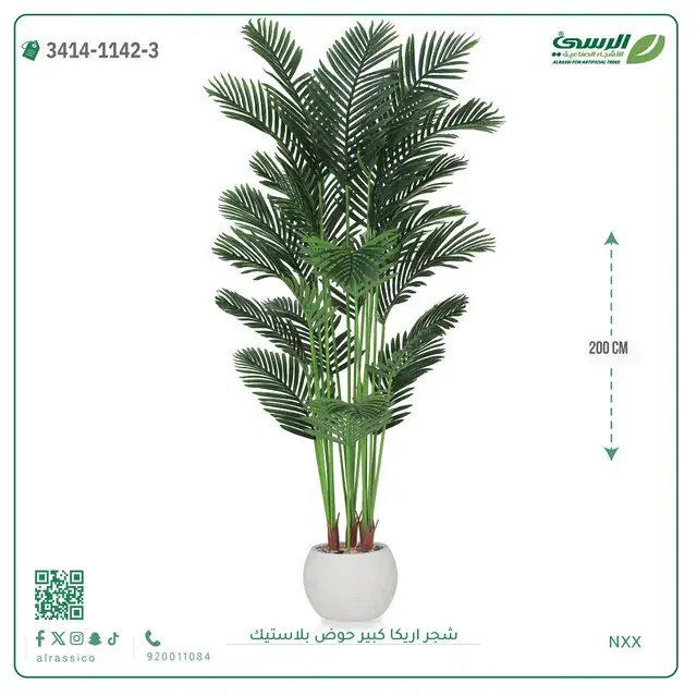  شجر أريكا صناعية ( ارتفاع 200 سم ) حوض بلاستك 