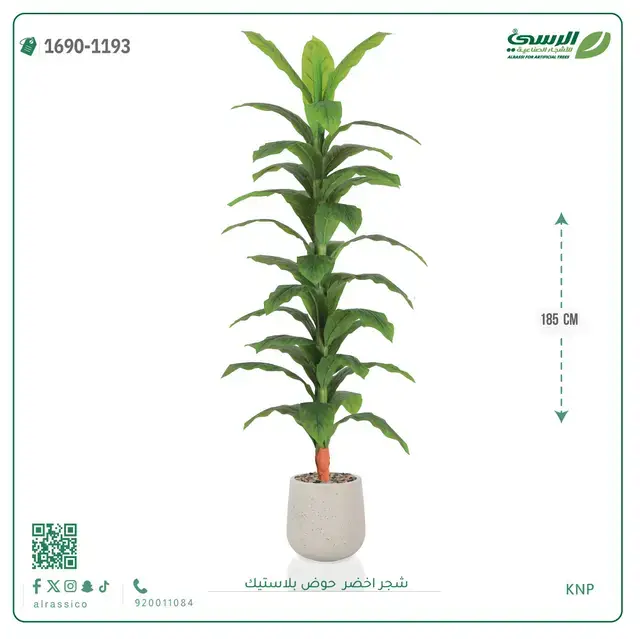  شجرة ذرة صناعية (ارتفاع 185 سم) حوض بلاستيك 