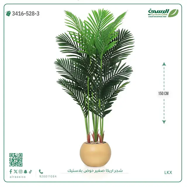  شجر أريكا صناعية ( ارتفاع 150 سم ) حوض بلاستك 