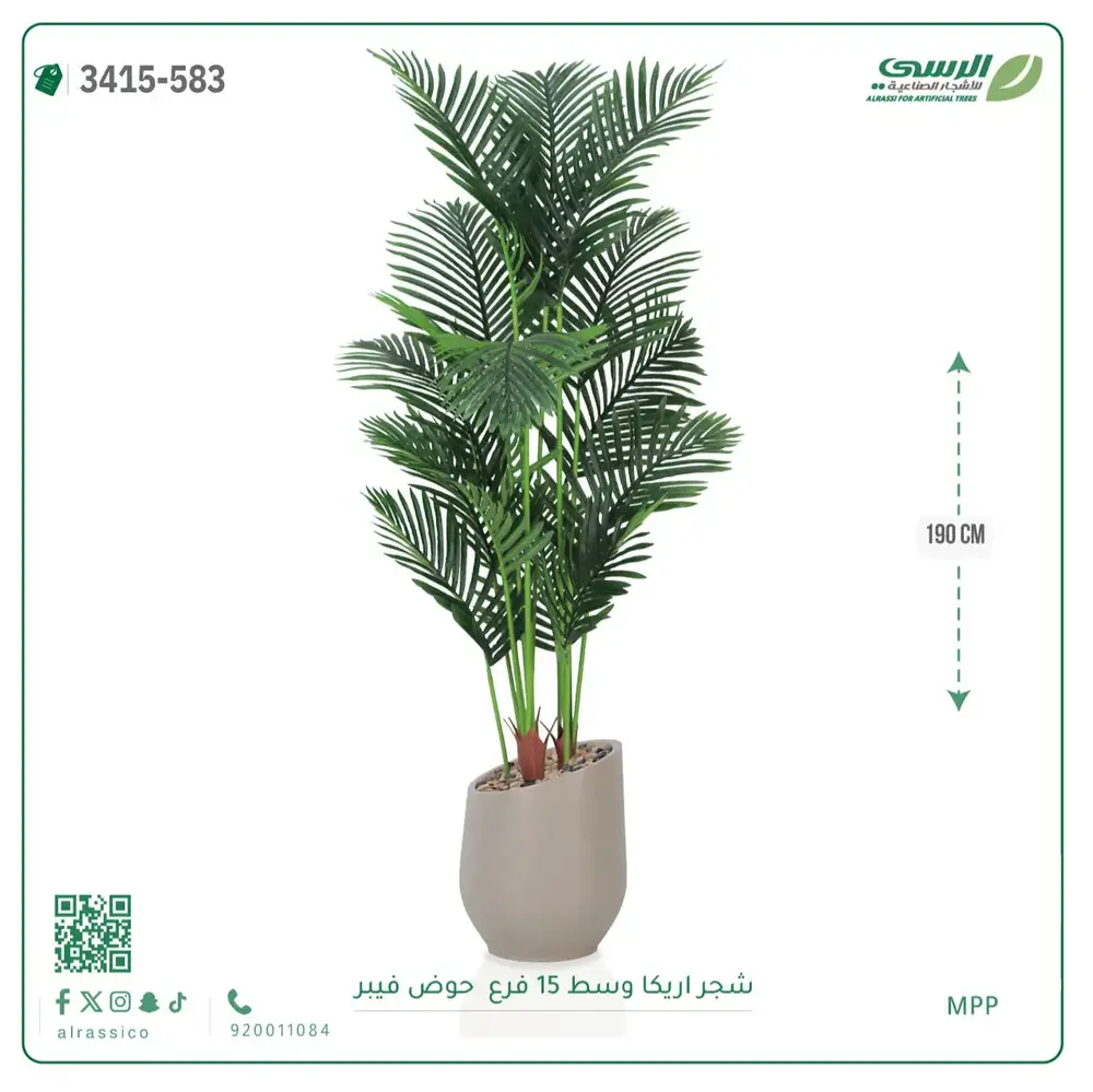  شجرة أريكا صناعية 15 فرع (ارتفاع 190 سم) حوض فيبر 