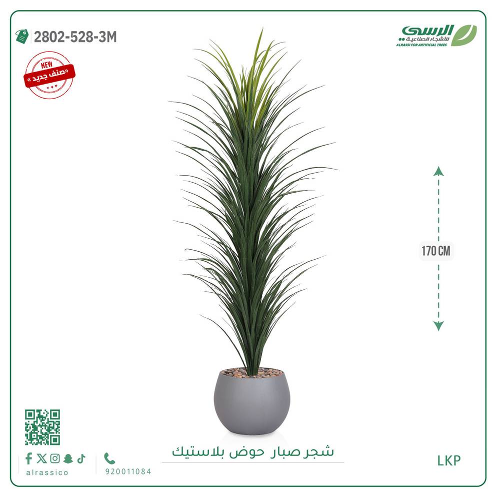   شتلة صبار بمركن بلاستيك دائري 