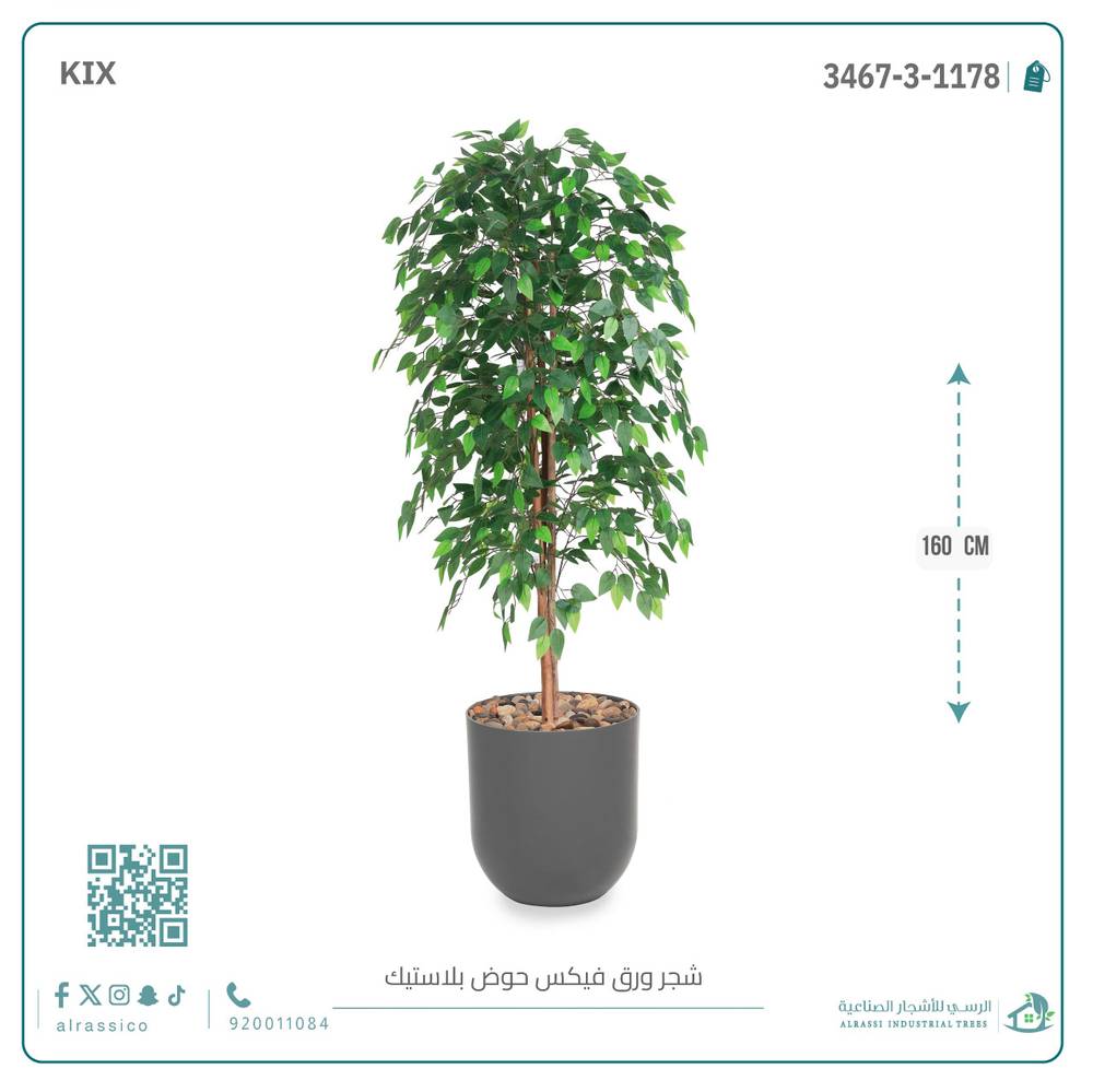  شجرة ورق فيكس اصطناعية بمركن بلاستيك أسطواني 