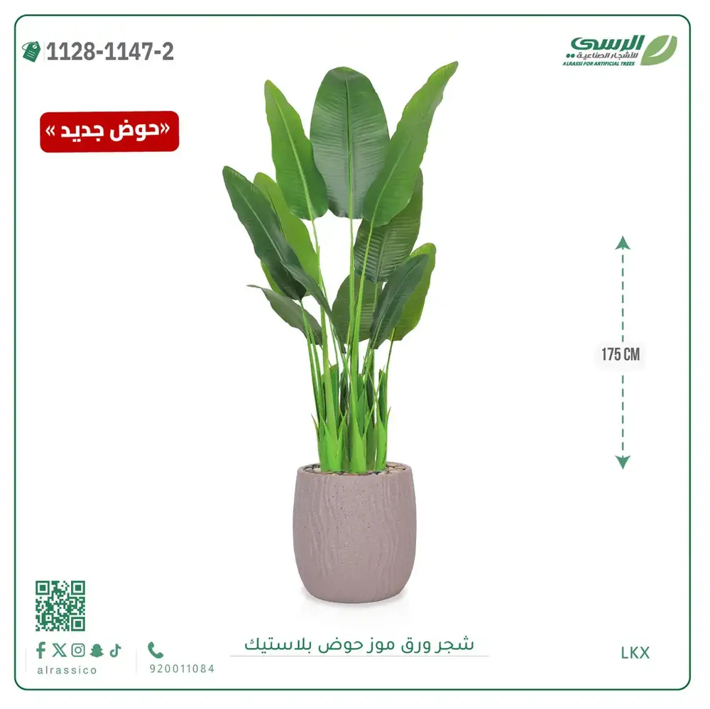  شجرة موز صناعية ( ارتفاع 175 سم ) حوض بلاستيك 
