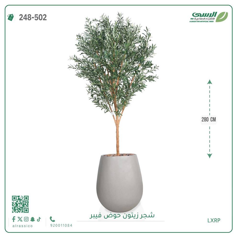  شجرة زيتون اصطناعية كبيرة بمركن فيبر أسطواني 
