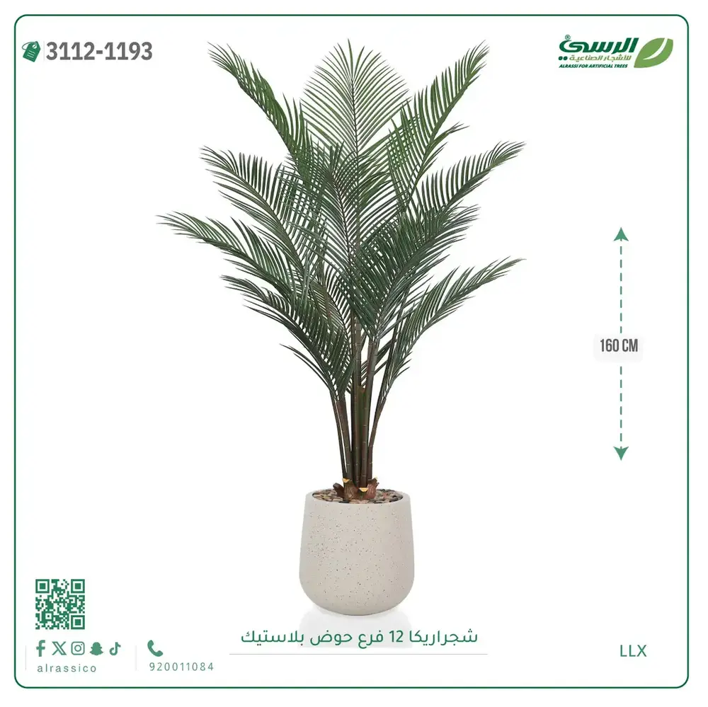  شجرة أريكا صناعية 12 فرع (ارتفاع 160 سم) حوض بلاستيك 