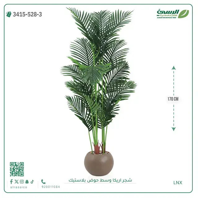  شجر أريكا صناعية ( ارتفاع 170 سم ) حوض بلاستك 