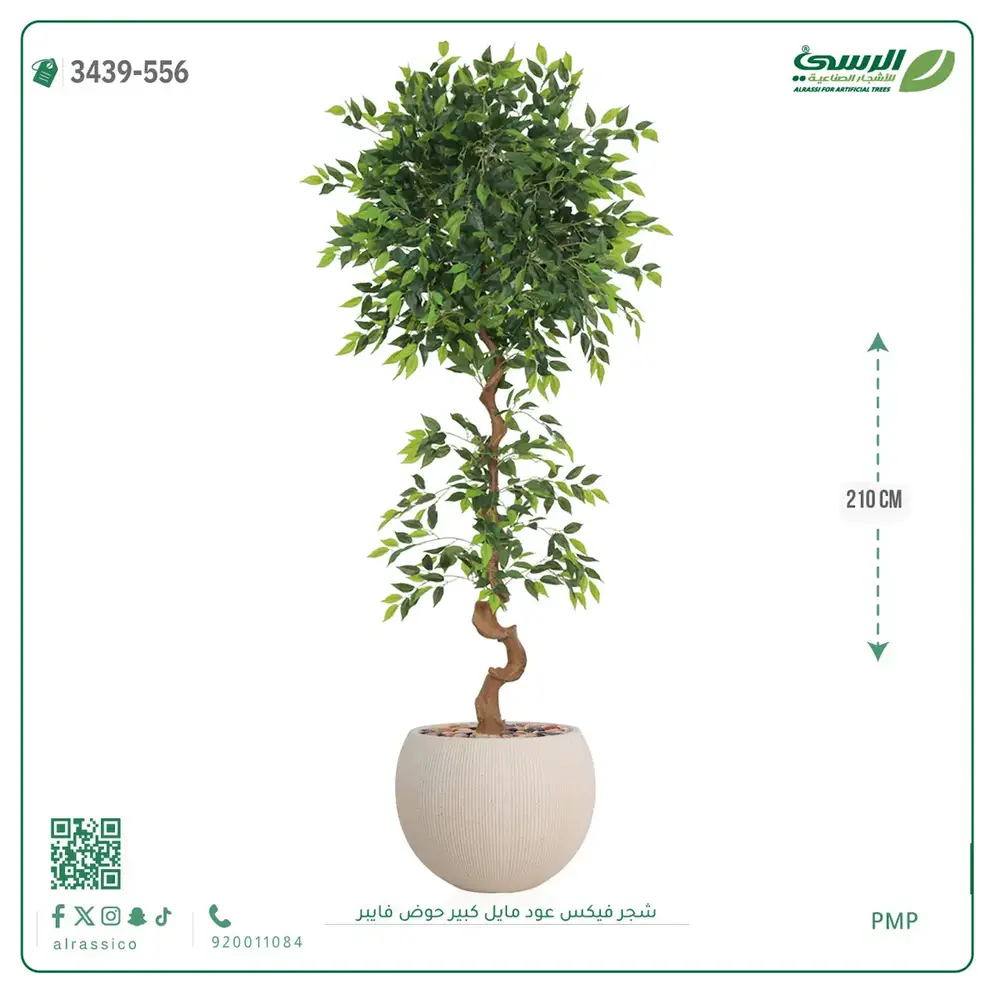  شجرة فيكس صناعية عود مائل (ارتفاع 210 سم) حوض فيبر 