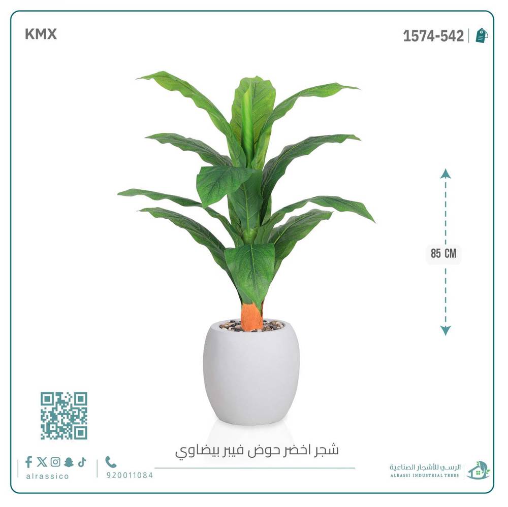 شجرة ورق موز حوض فيبر بيضوي 