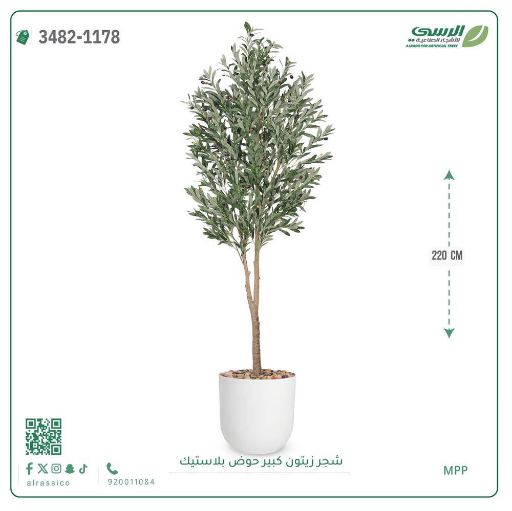 شجرة زيتون صناعية ( ارتفاع 220 سم ) حوض بلاستك 