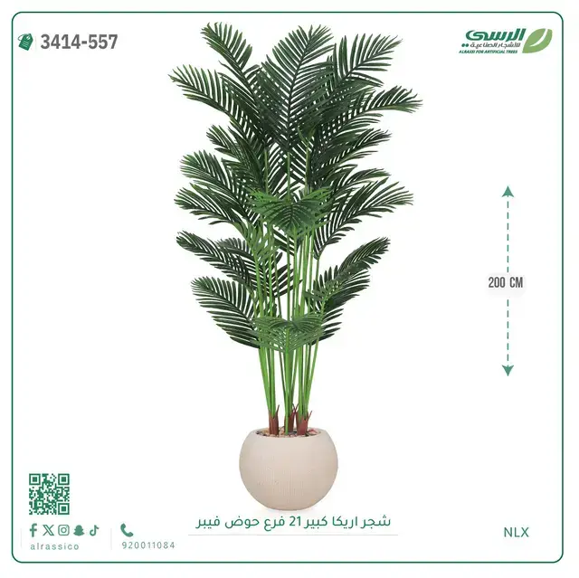  شجرة أريكا صناعية 21 فرع (ارتفاع 200 سم) حوض فيبر 