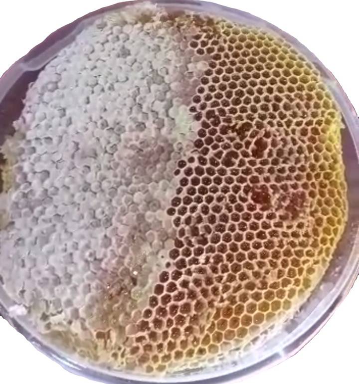 Saudi Sidr honey with wax