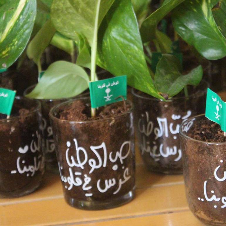 غرسة وطن 🇸🇦