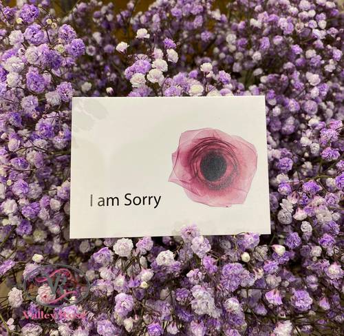 I am sorry 