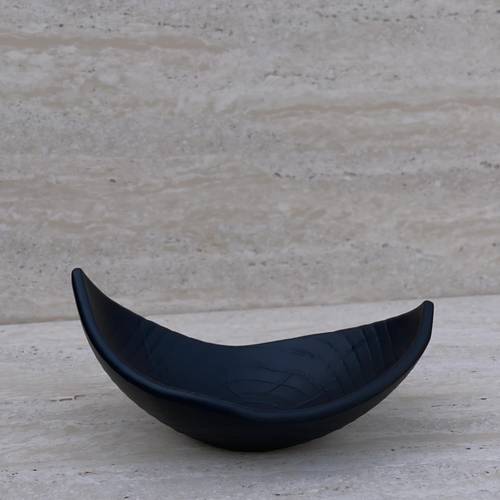 طبق تقديم
