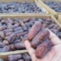 عنبرية المدينة المنورة ٣ كيلو 