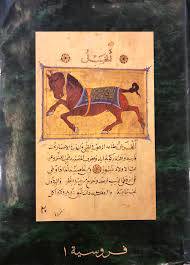 فروسية أنجليزي