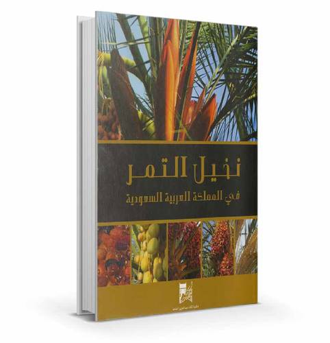  نخيل التمر في المملكة العربية السعودية