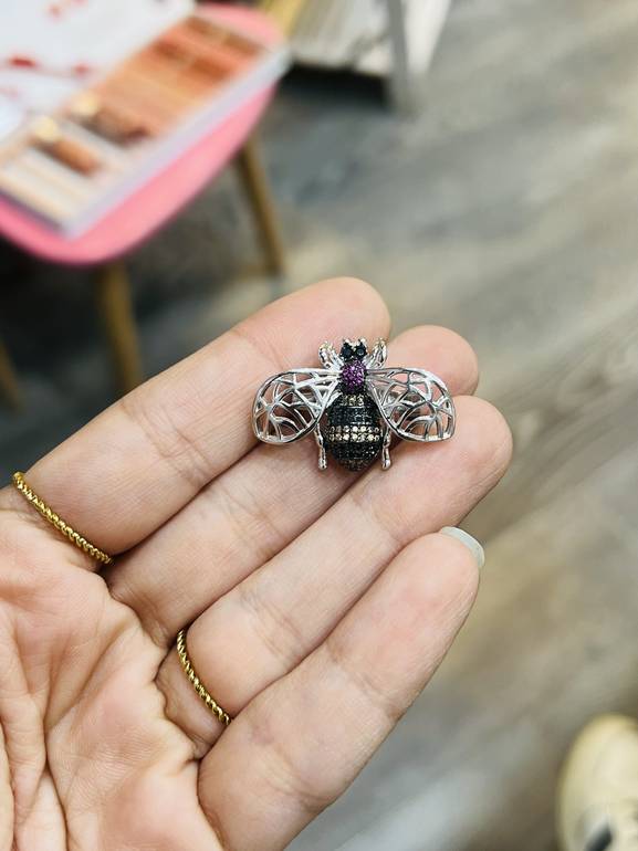 Insect brooch