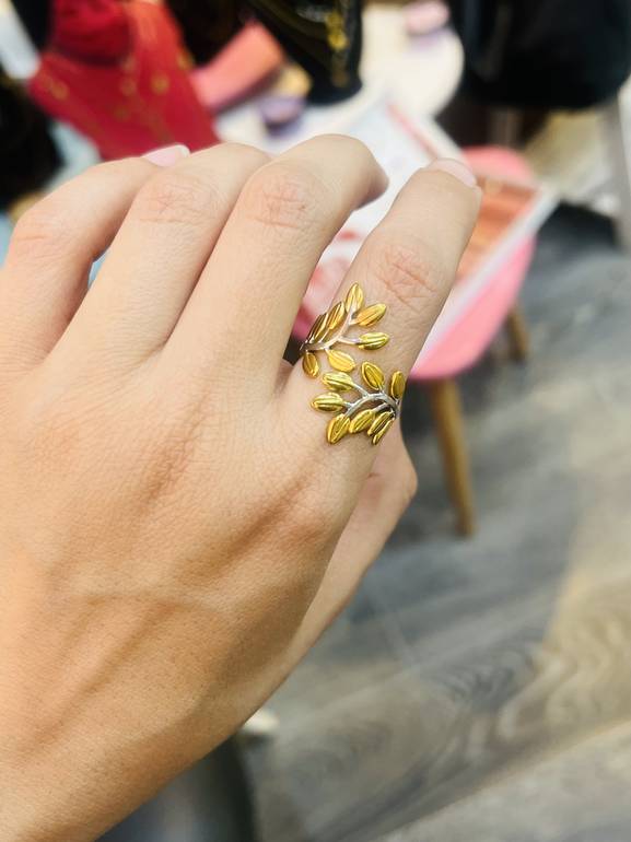 Ring 13