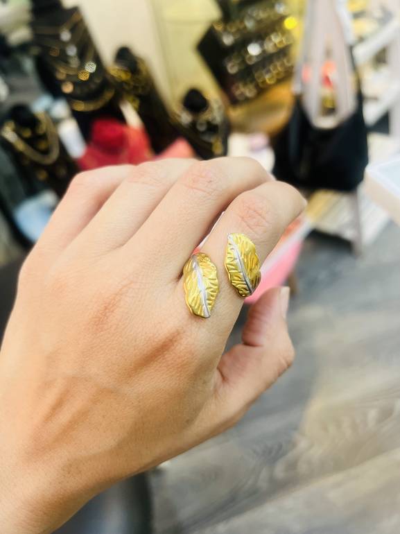 Ring 17