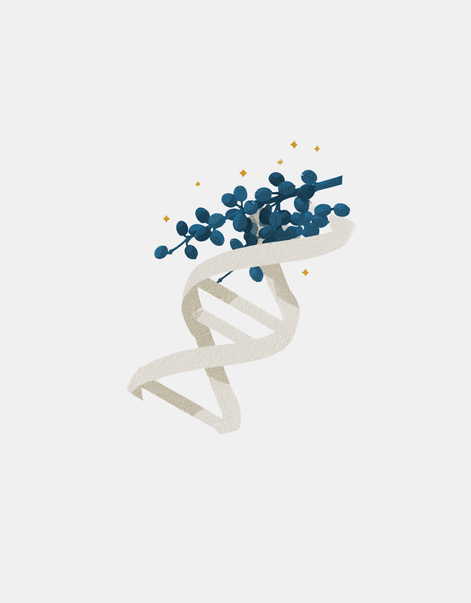 How Does Coffee Transform from a Daily Drink into a Complete Biological Experience?