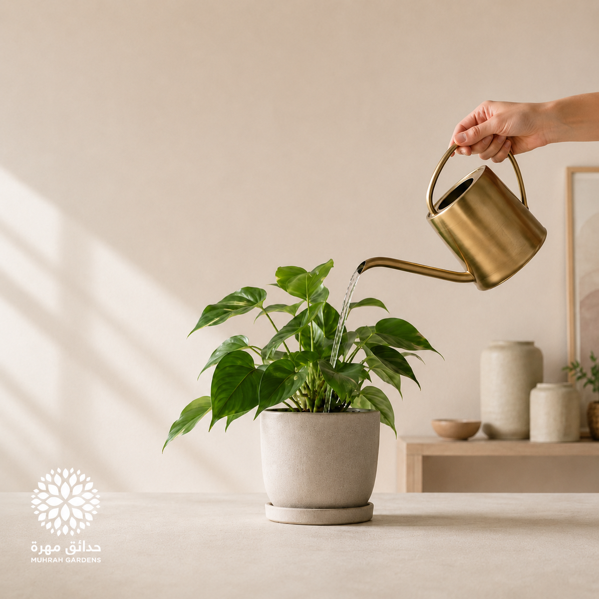نصائح الري الصحيحة للنباتات المنزلية
