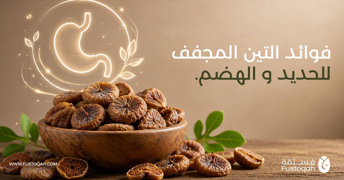 فوائد التين المجفف للحديد والهضم وأفضل أنواعه التركية