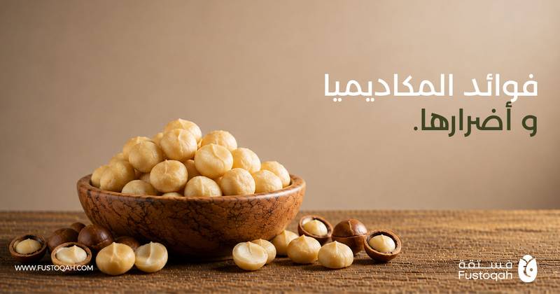 فوائد المكاديميا وأضرارها وسعر الكيلو في السعودية