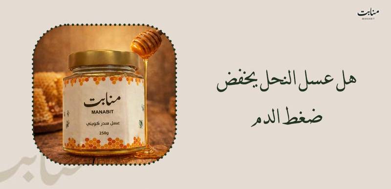 هل عسل النحل يخفض ضغط الدم ؟ تعرف على الحقيقة