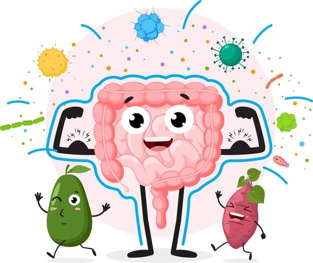 10 أسباب تجعل صحة الأمعاء مهمة 🧬🧠✨