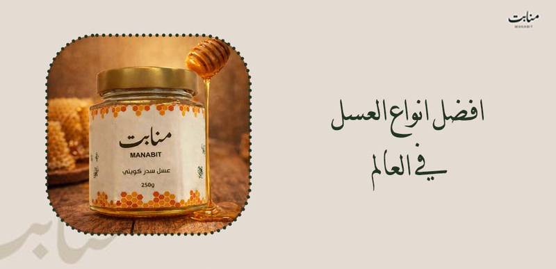 افضل انواع العسل في العالم وخصائص كل نوع