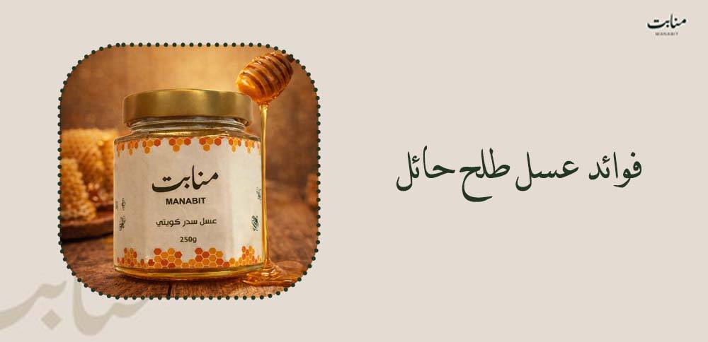 فوائد عسل طلح حائل ومميزاته وطريقة استخدامه
