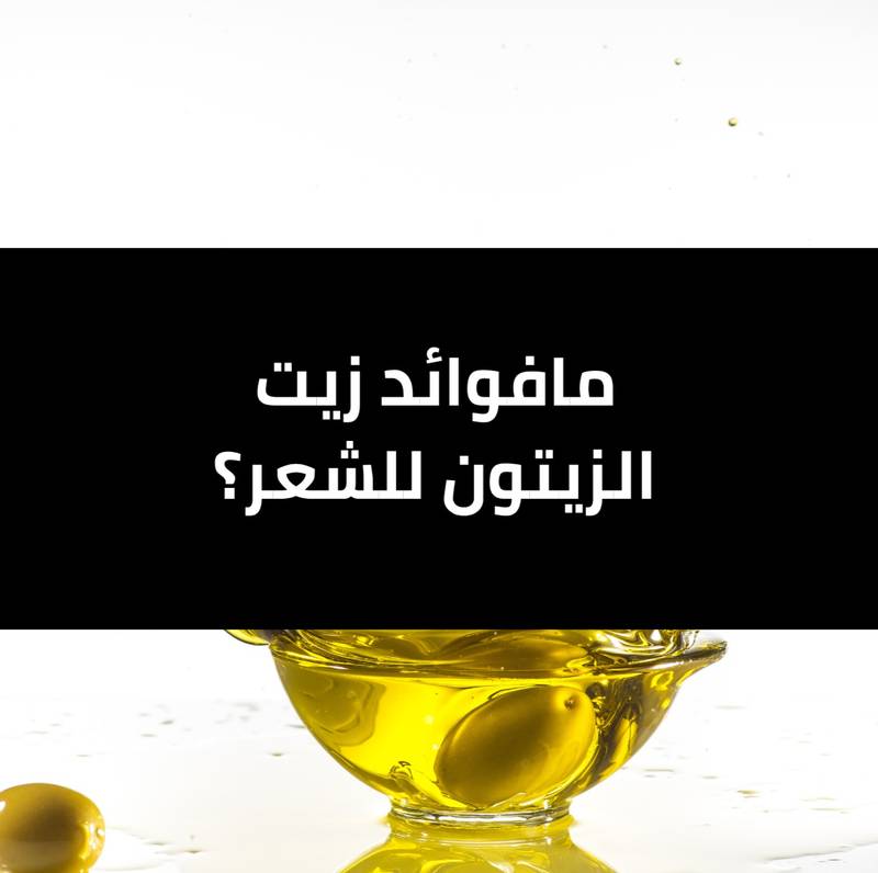 مافوائد زيت الزيتون للشعر ؟