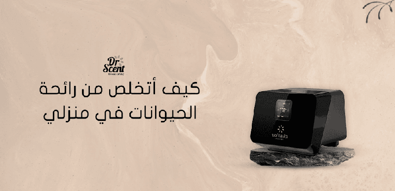 كيف أتخلص من رائحة الحيوانات في منزلي بخطوات بسيطة و فعالة