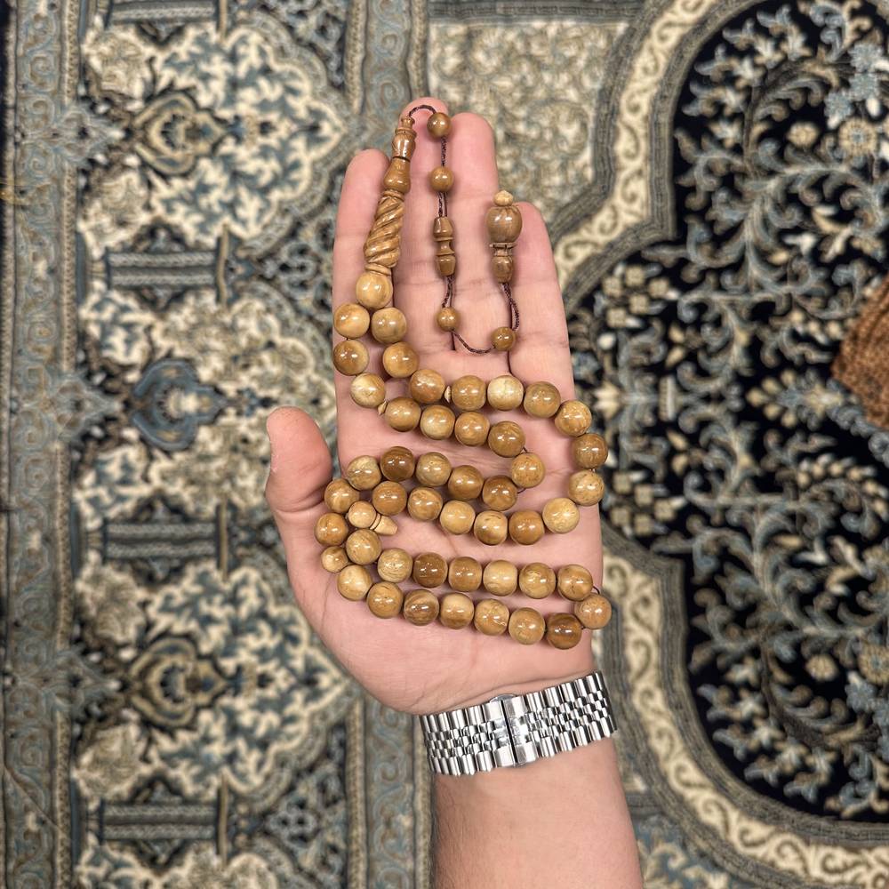 كوك ١٢ ملم شاهد منقوش