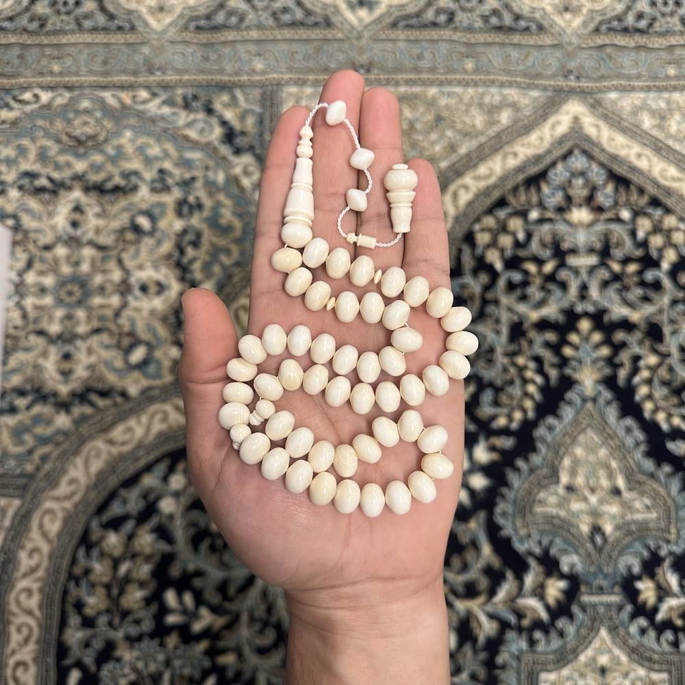 عاج ناب الفيل 