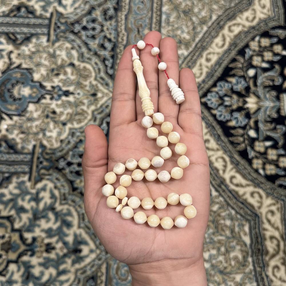 عظم جمل