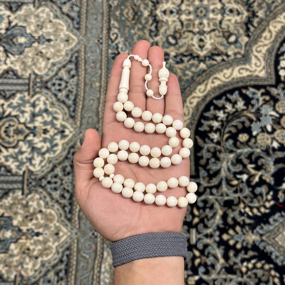 عاج ناب الفيل