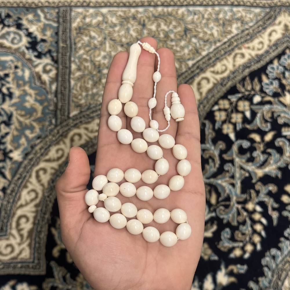  عاج ناب الفيل