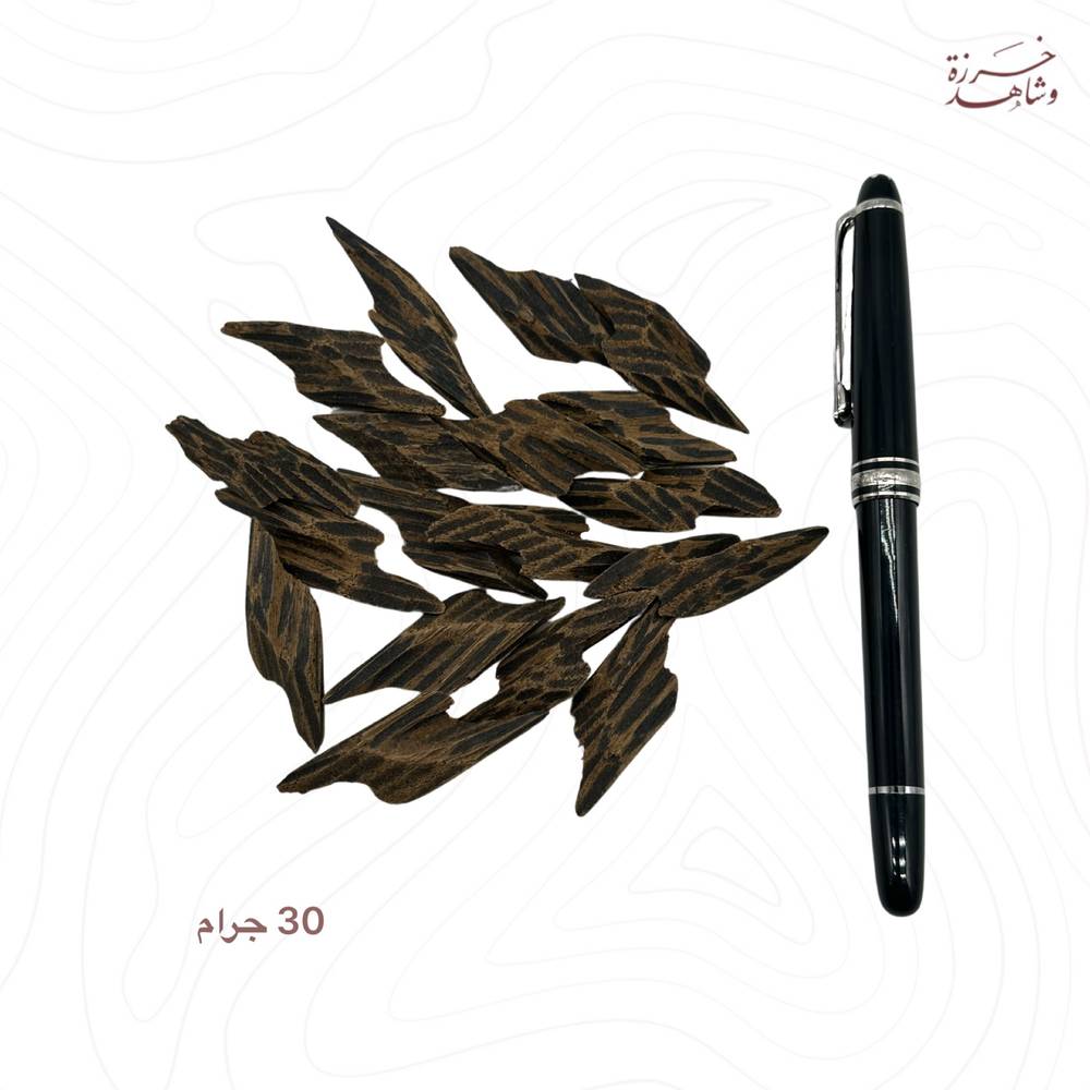 كمبودي تايقر 