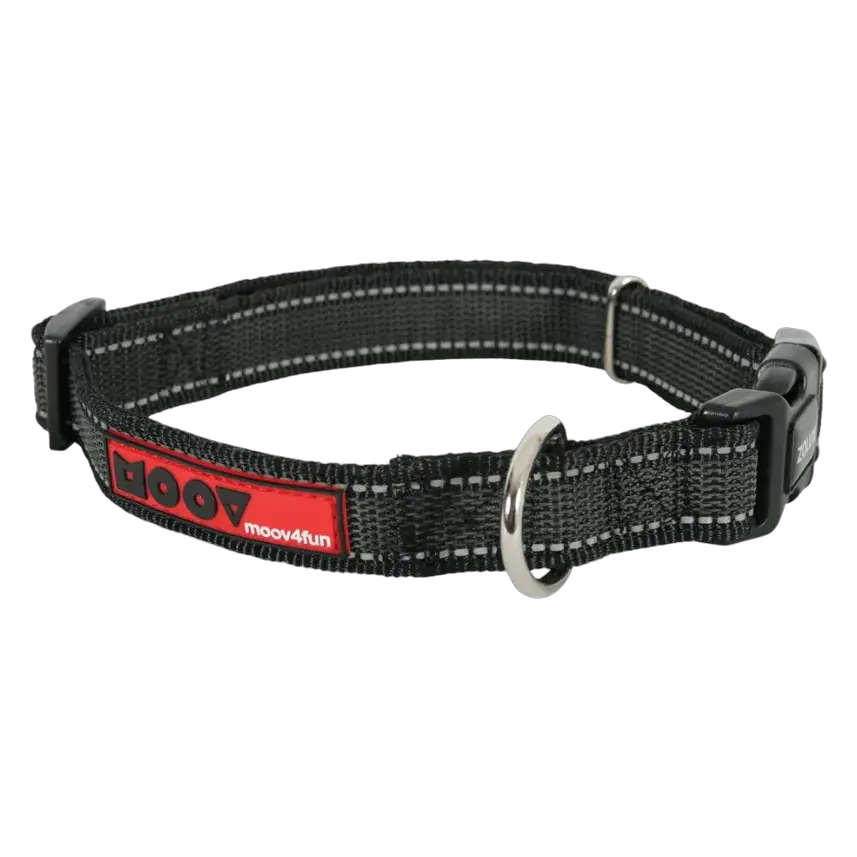 Zolux Moov Adjustable Collar 25MM 