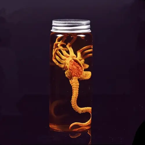 الغريبة جرة زينومورف عينة Facehugger الجنين جرة الفيلم الدعامة طبق الأصل