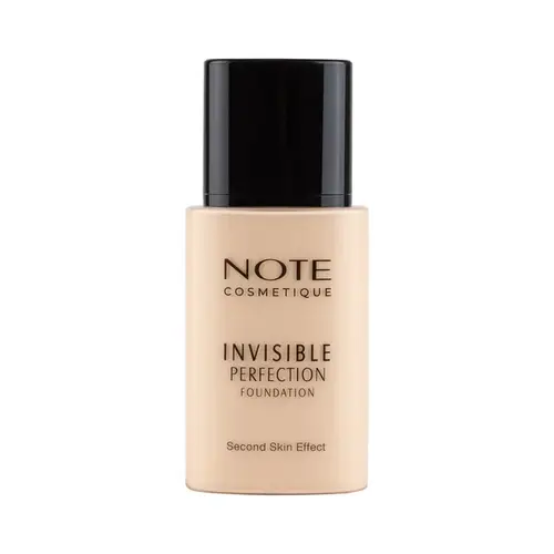  invisible perfection foundation 110